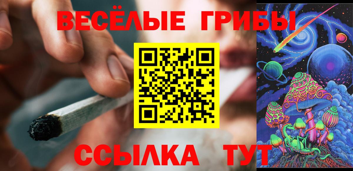 Псилоцибиновые грибы GOLDEN TEACHER  Вход с VPN  Псилоцибиновые грибы мухоморы  Карачаевск 