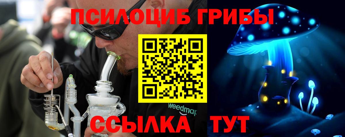 Галлюциногенные грибы Psilocybe Карачаевск